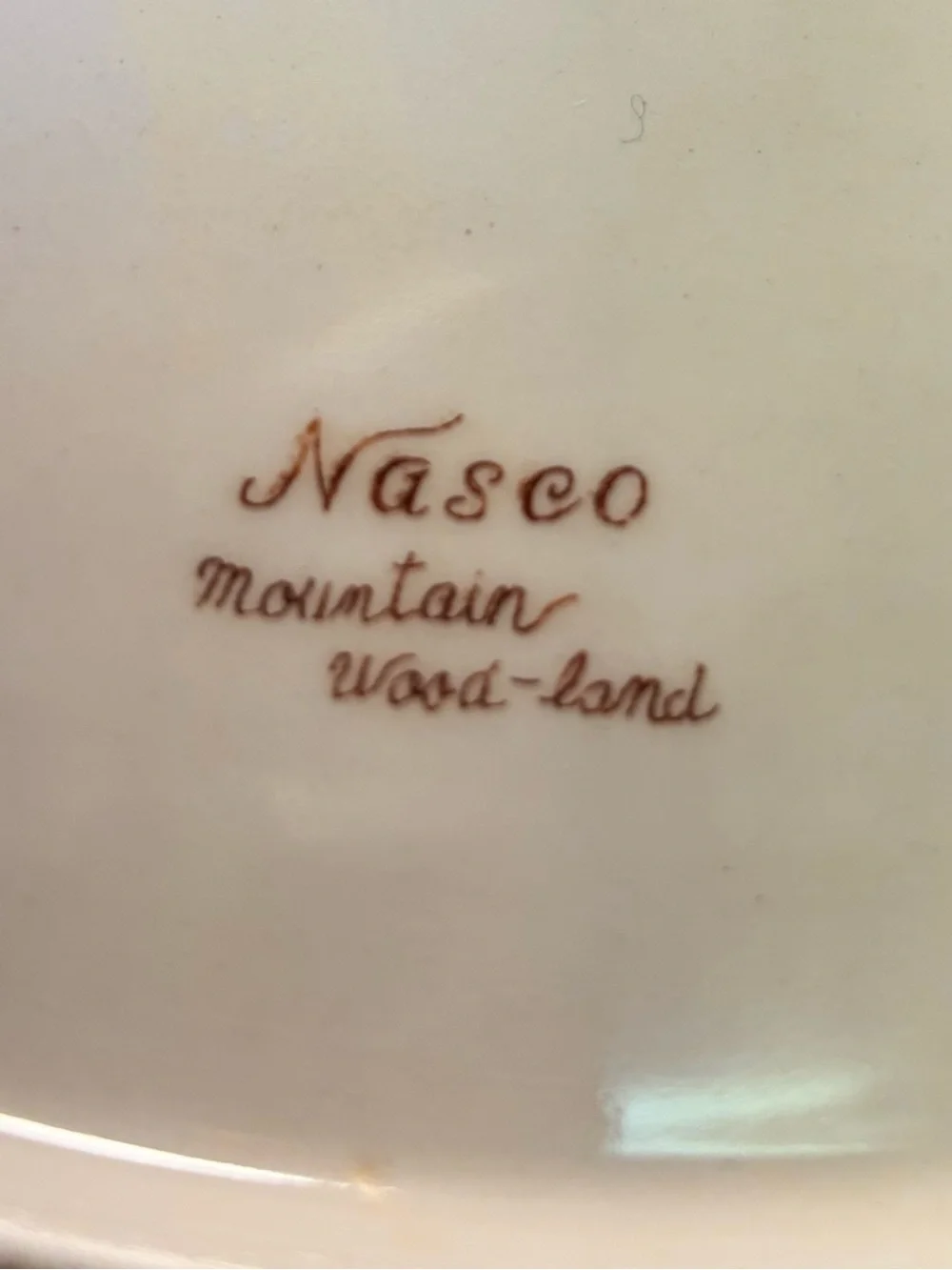 Vintage Nasco Mountain Wood-land Oval Serving Bowl Brown Transferware Japan